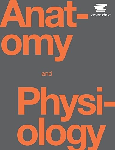 Downloadable Test Bank – Anatomy and Physiology Openstax