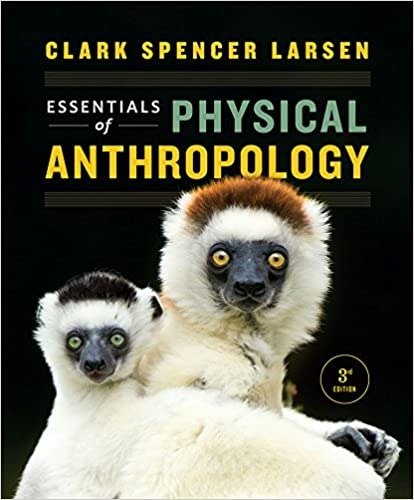 Downloadable Test Bank Essentials of Physical Anthropology by Larsen